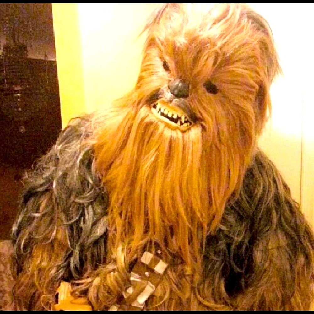 Halloween costume in good and fair conditions